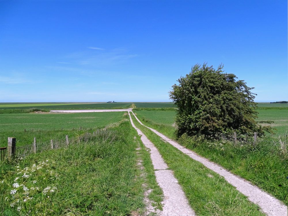Hoogeland